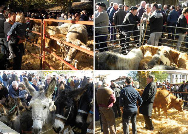 Doneztebeko Udazkeneko feria udaberriko giroan 