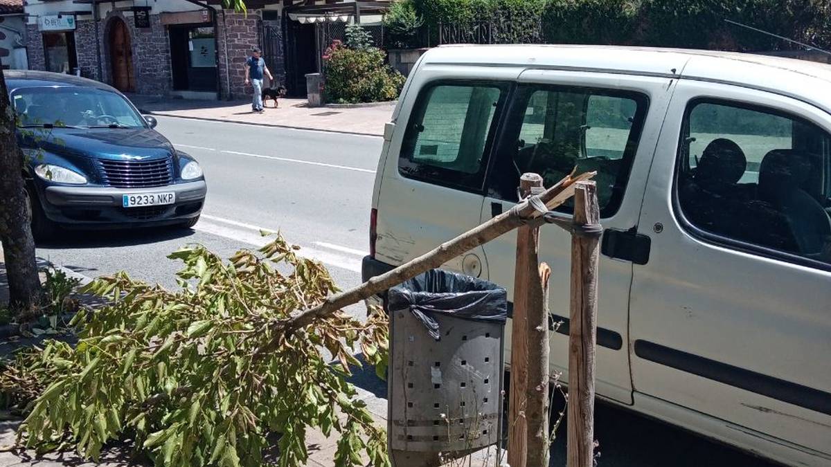 Asteburuan Elizondon zuhaitz bat hautsi dutela salatu du Baztango Talde Ekosozialak