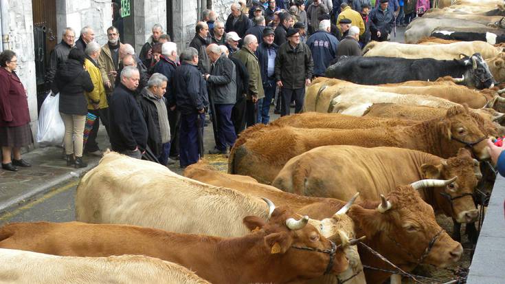 148 azienda plazaratu ziren Lesakako feria egun jendetsuan