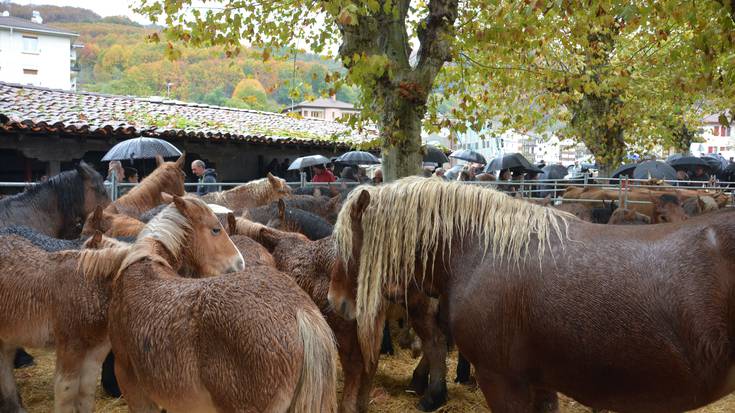 Euriak ez du Doneztebeko feria zapuztu