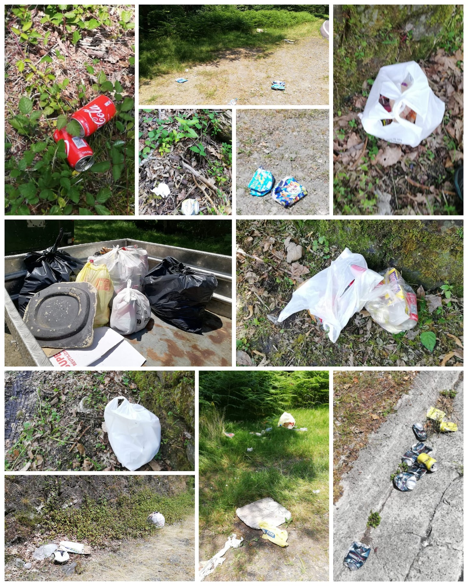 Goizuetako erreka bazterrak zaborrez beteta utzi izana gaitzetsi du Udalak