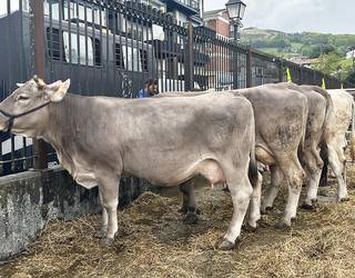 Larunbatean eginen dute Beran Azienda Feria Eguna