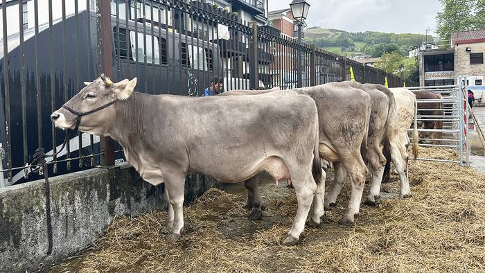 Larunbatean eginen dute Beran Azienda Feria Eguna
