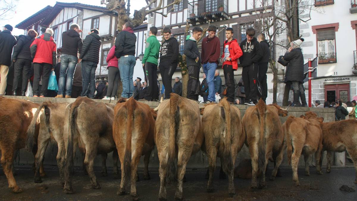 Lesakako feria eguna hemendik aitzinera ortziralean ospatzea erabaki du udalak