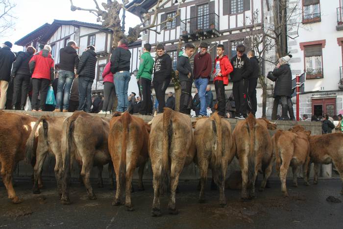 Lesakako feria egunaren inguruko herri galdeketa azaroaren 30ean eginen dute