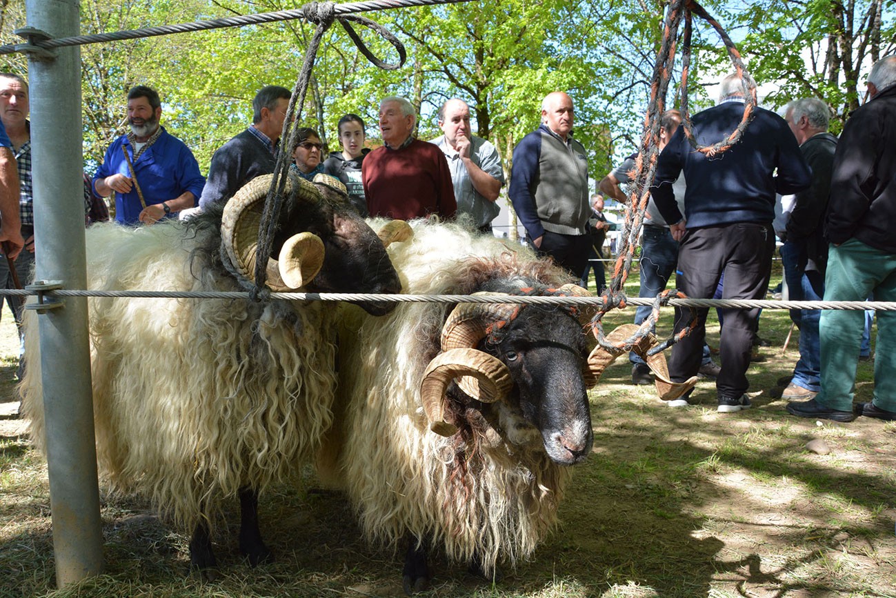 Udaberriko Feria apirilaren 6an Elizondon