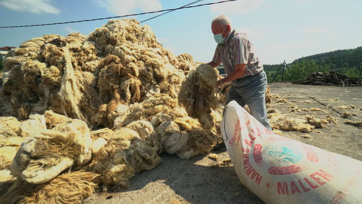 Baztango Hondakinen Zerbitzuak artilea bilduko du apiriletik uztailera Askapen