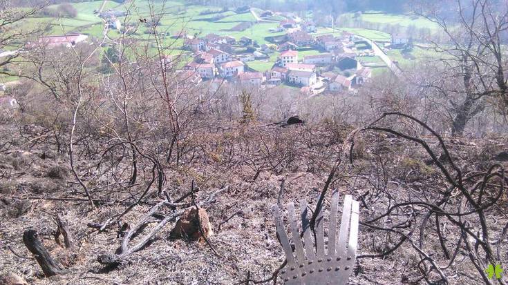 Sute batek haritzekin oihanberritutako mendia erre du Mendaur aldean