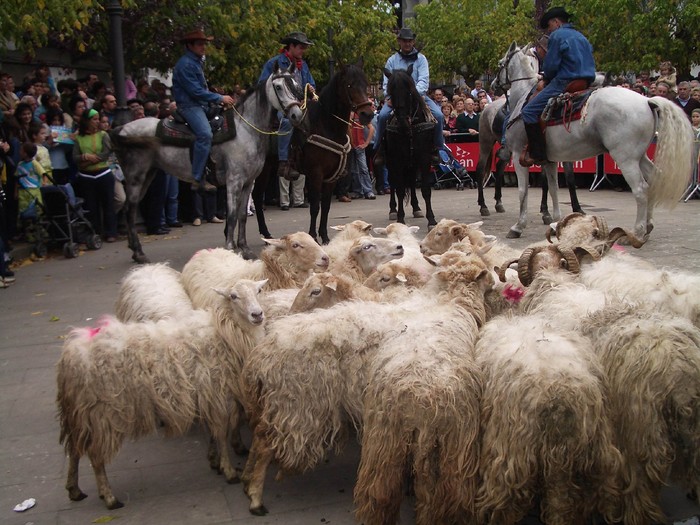 Euskal Artzainak Ameriketan Elkartearen hondarreko besta eginen dute igandean Lesakan