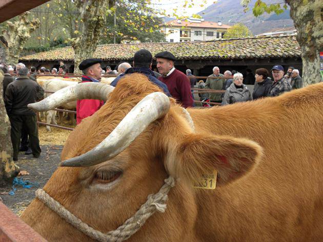 Aziendak eta karrikako giroa goizean, herri kirola arratsaldean