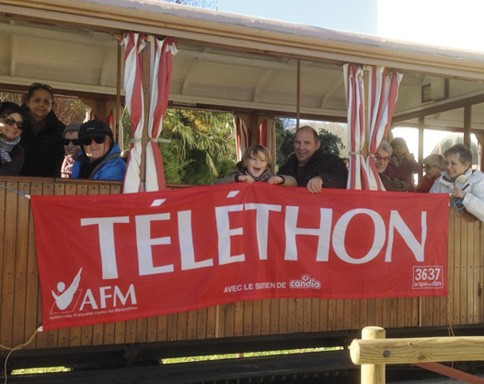 Telethon elkartearen alde abenduaren 7an bilduko dira Saran