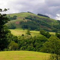'Espezie inbaditzaileak Nafarroan: arazotik soluziora. Flora exotiko inbaditzailea Beran' solasaldia