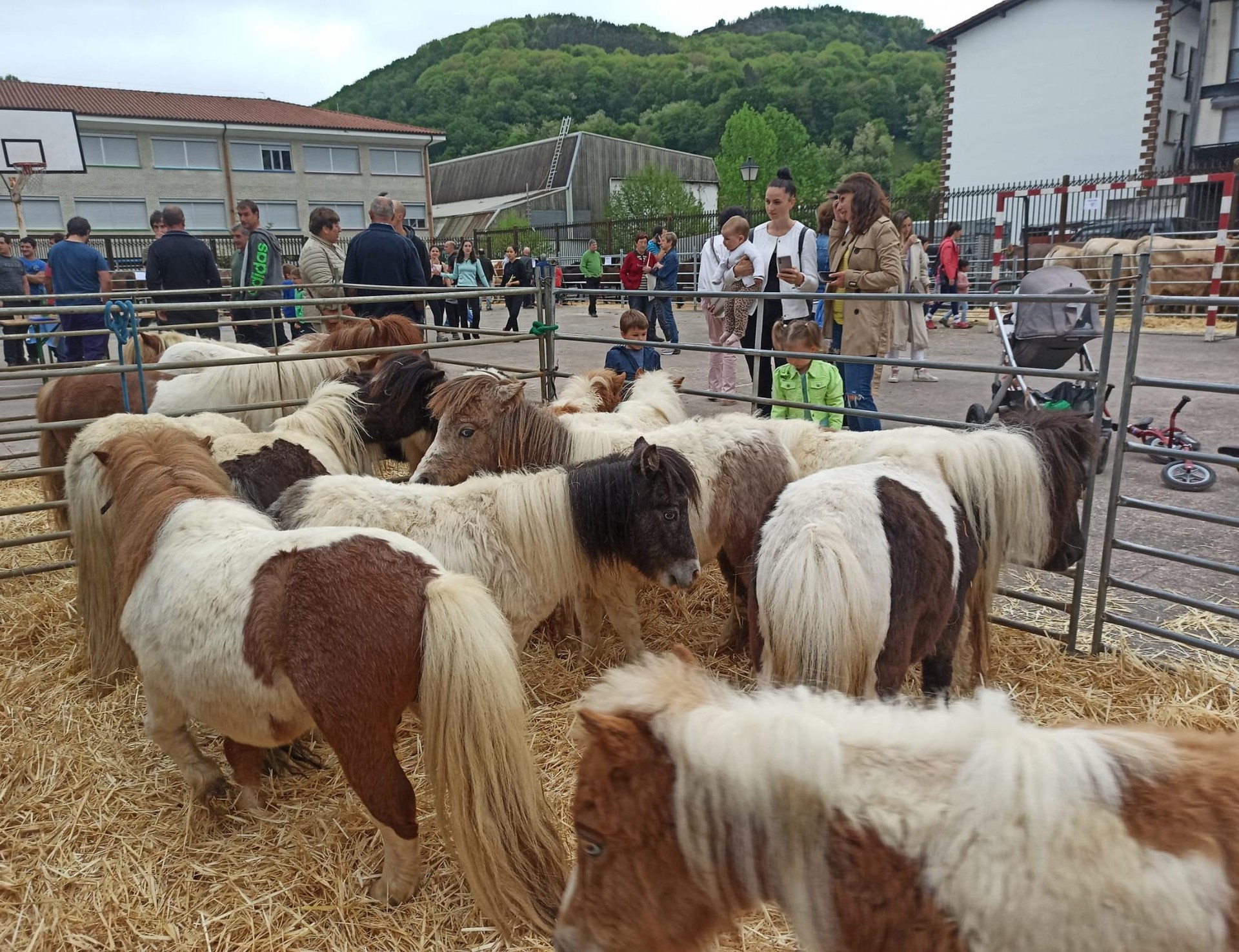 Berako Mendi Batzordearen bilera irekia eginen dute gaur
