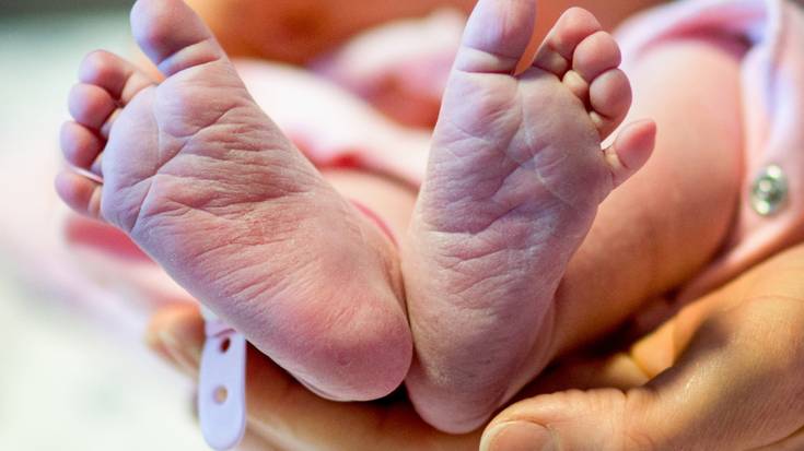 'Hipnoparto' liburuaren aurkezpena eginen dute urriaren 3an Etxalarren