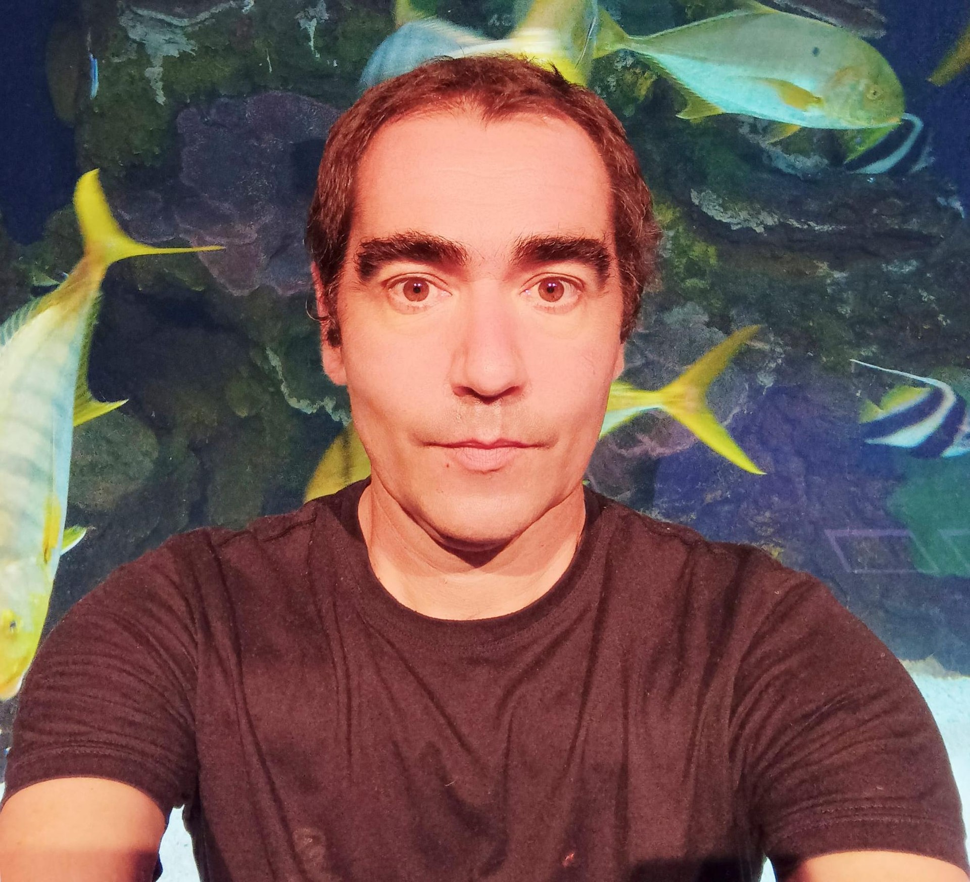 «Museo bat baino gehiago da Donostiako Aquariuma»