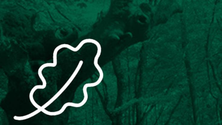 Elizondon egitekoa den Piriniotar behi aziendaren erakustaldiaz mintzatu gara Juan Kruz Iriarte baztango udal zinegotziarekin.