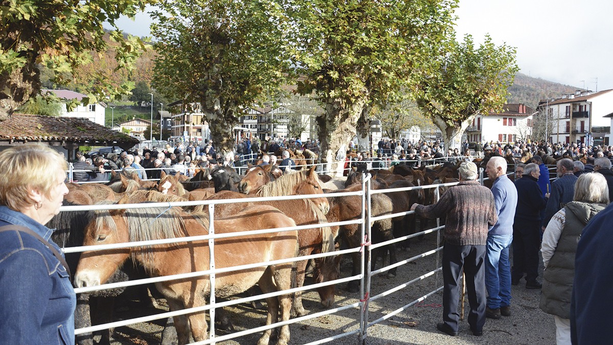 Ortziralean eginen dute Doneztebeko feria