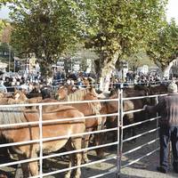 Ortziralean eginen dute Doneztebeko feria