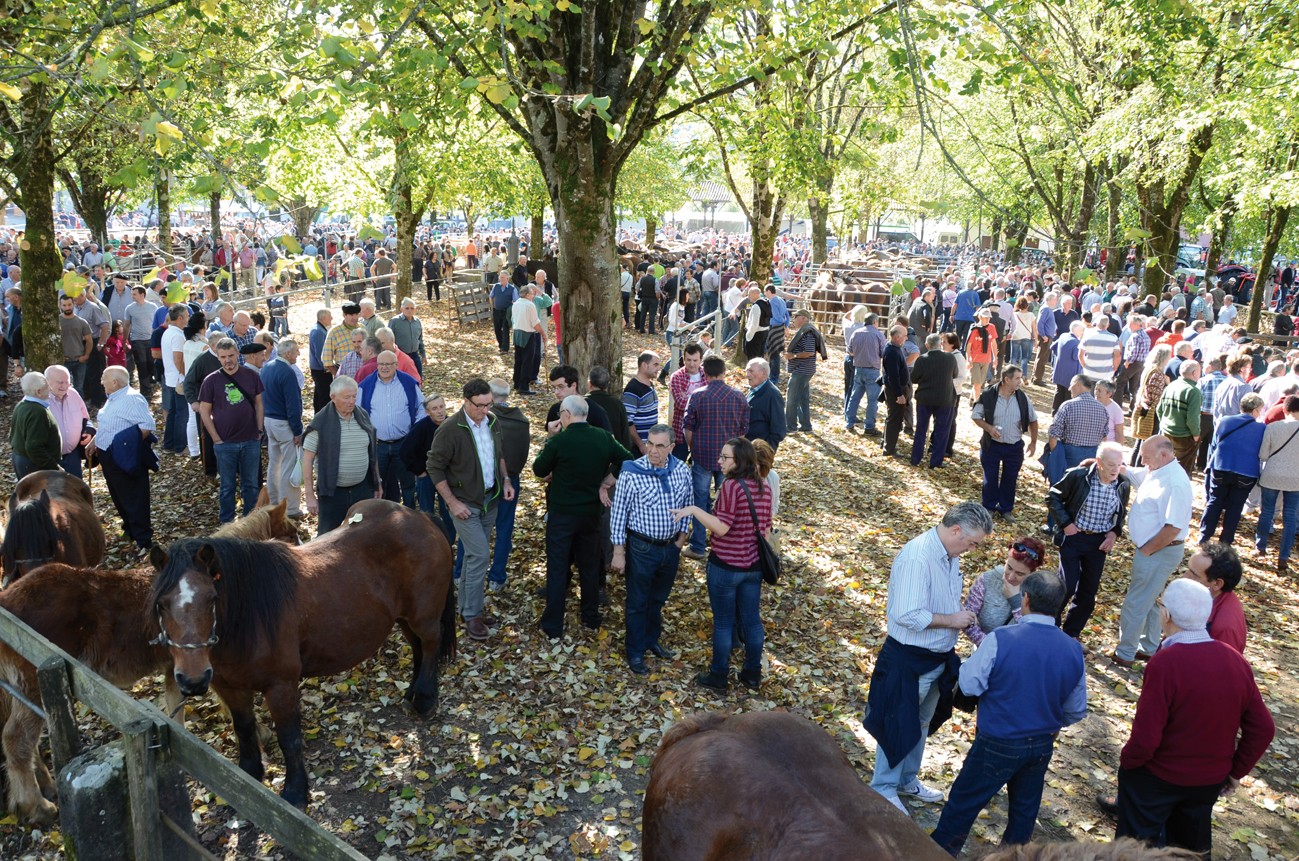 Udazkeneko lehen azienda feria ospatuko dute Elizondon urriaren 27an eta 28an