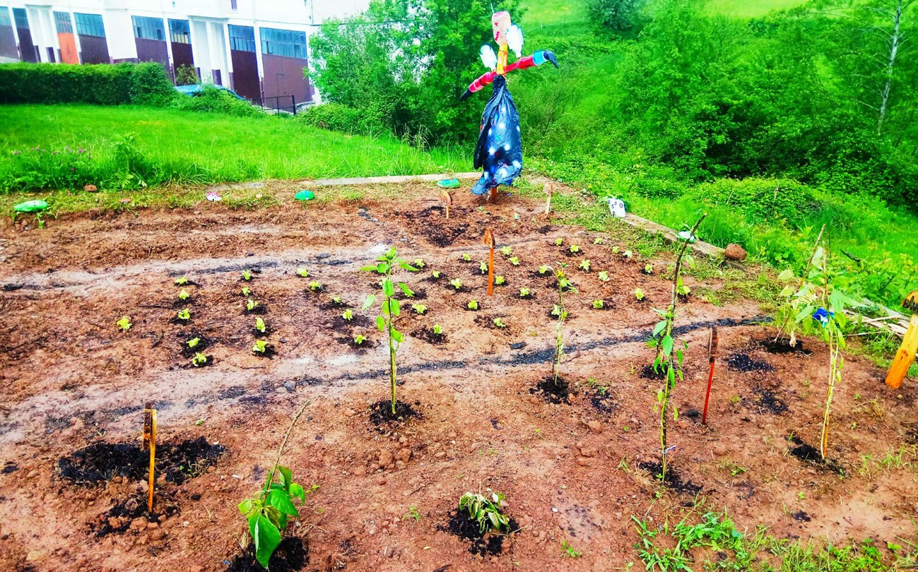 Nafarroan baratze guztietara joan ahal izatea eskatuz kanpaina abiatu dute