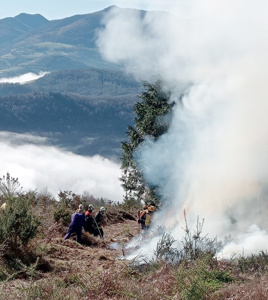 Otsailaren 1a da azken eguna larrea erretzeko baimena eskatzeko