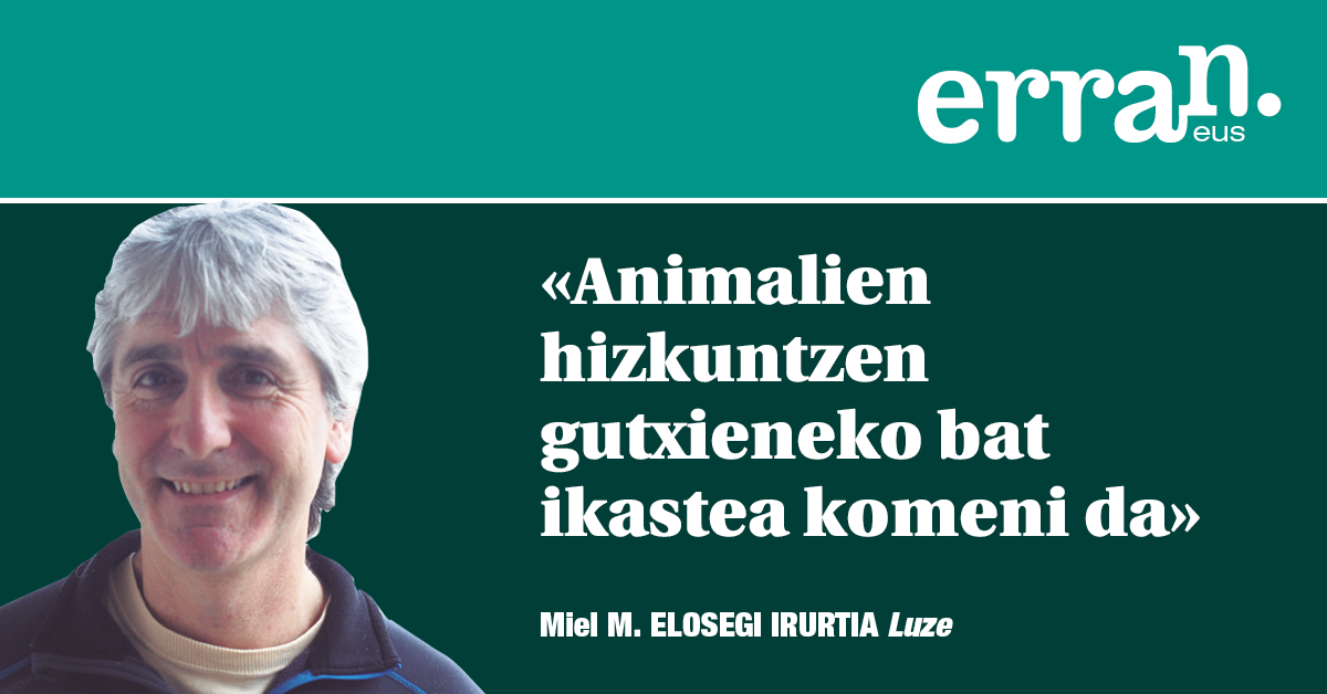 Ikasi hizkuntzak!