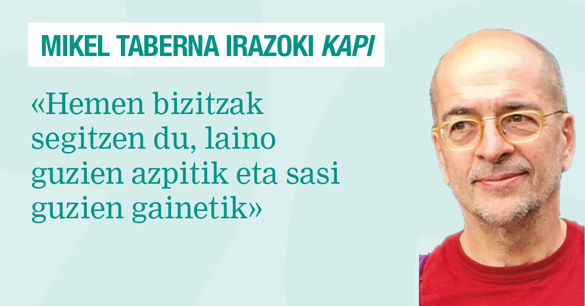 Hiru sagarroikume