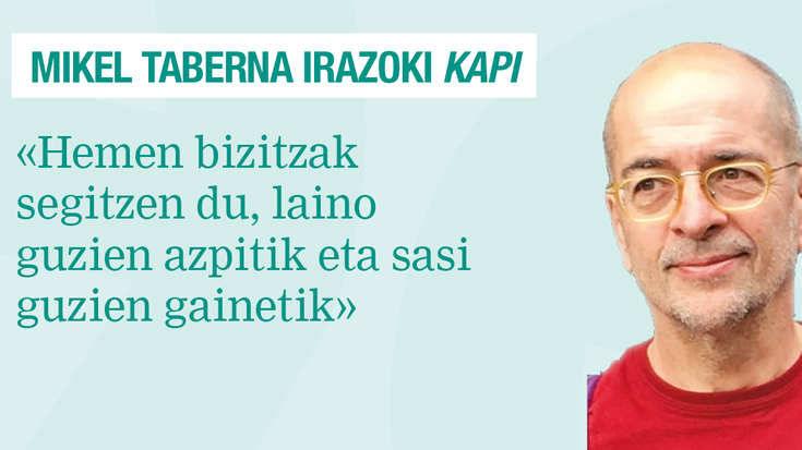 Hiru sagarroikume