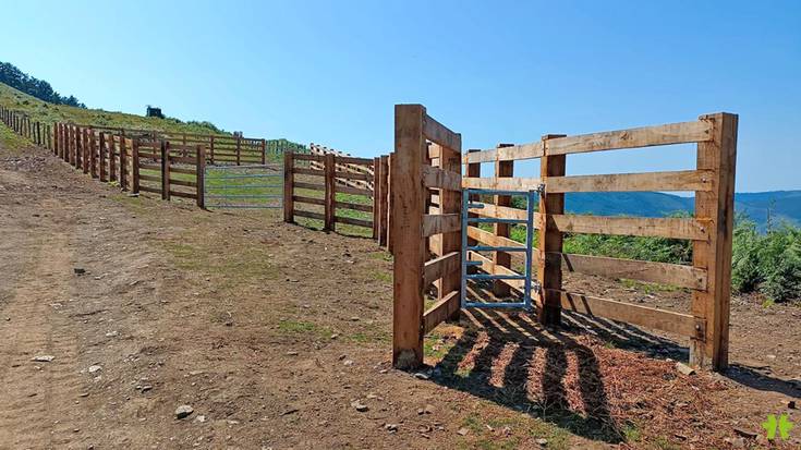 [ARGAZKIAK] Baserri auzoetan eta mendian lanak egin ditu Arantzako Udalak