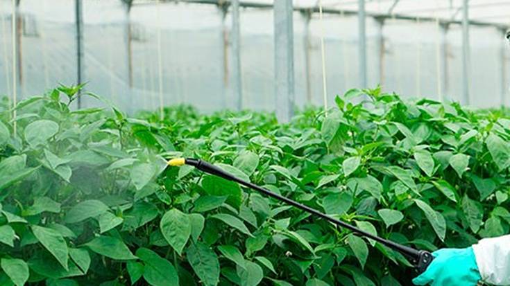 Fitosanitarioen erabilpenerako txartel berritzea