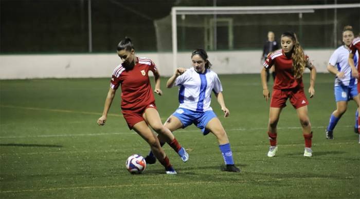 Nafarroako eta Gipuzkoako selekzioek lagunarteko partida jokatuko dute gaur Arkiskilen