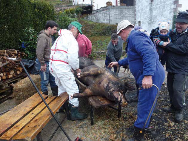 Txerribodarekin hasi da urtea