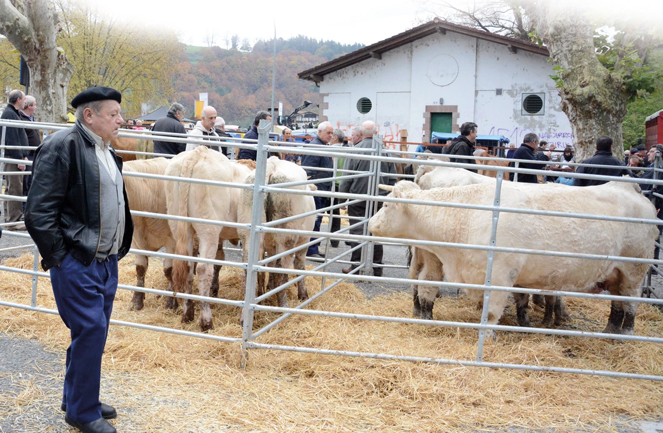 Ferietan aziendak plazaratzea debekatu du Nafarroako Gobernuak