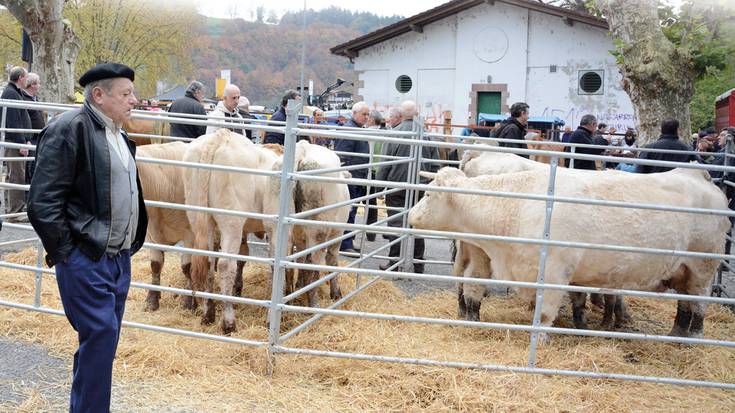 Ferietan aziendak plazaratzea debekatu du Nafarroako Gobernuak