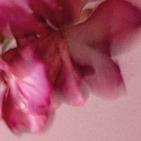 'Xerka' Euskal Landa Eremuko LGTBIQ+ komunitateaz erakusketa