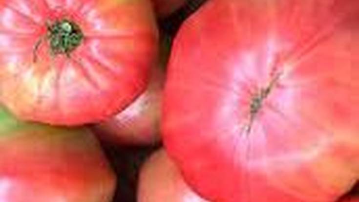 Euskal Herriko Bertako Tomatearen Lehiaketa