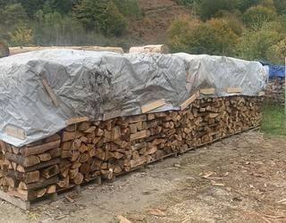 Eratsungo Pelotazale elkartean auzolanean aritu dira