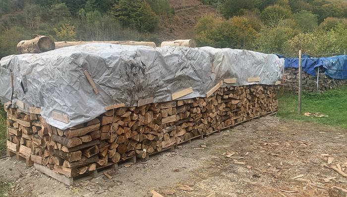 Eratsungo Pelotazale elkartean auzolanean aritu dira