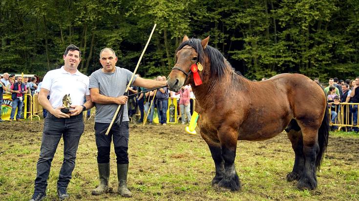 Legasako Indarten behor, zaldi eta moxalak nagusitu dira Urdazubiko lehiaketan