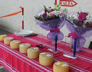Etxalarren XXXIII. Gasna eta Artisau Feria ospatuko da igandean