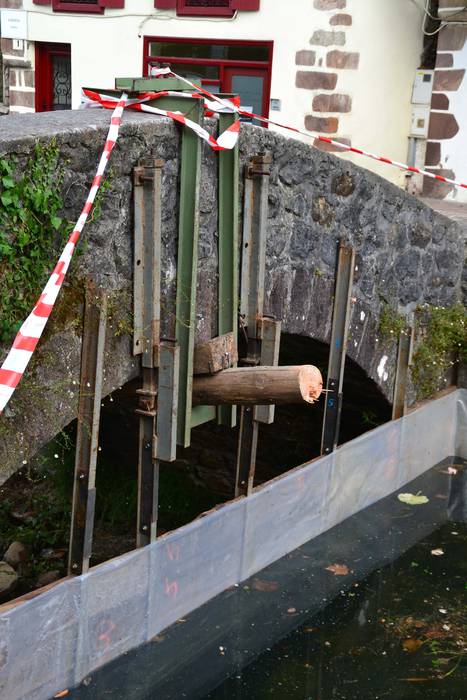 Asteburuan zerratu duten kukaña berriz ere jartzen hasi dira Beran