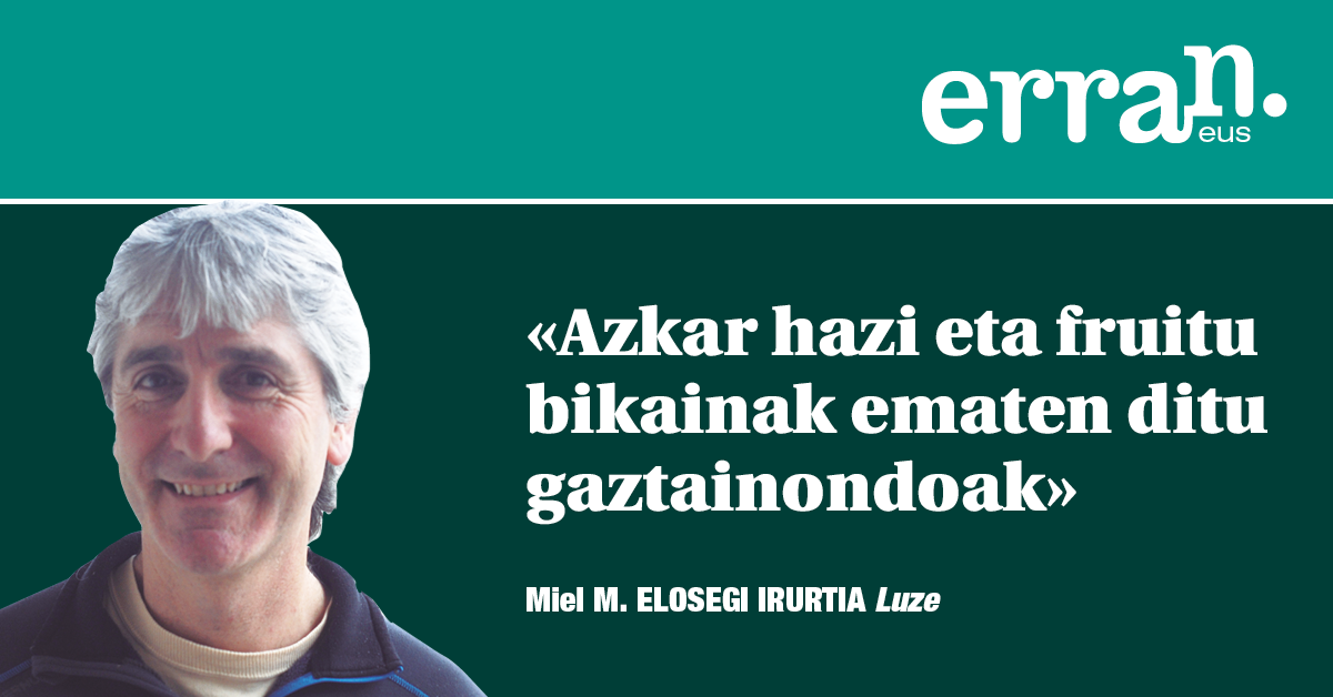 Gaztainondoei bultzada