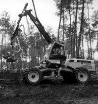 Gaur oihanaren egoera nola ikusten duzue?