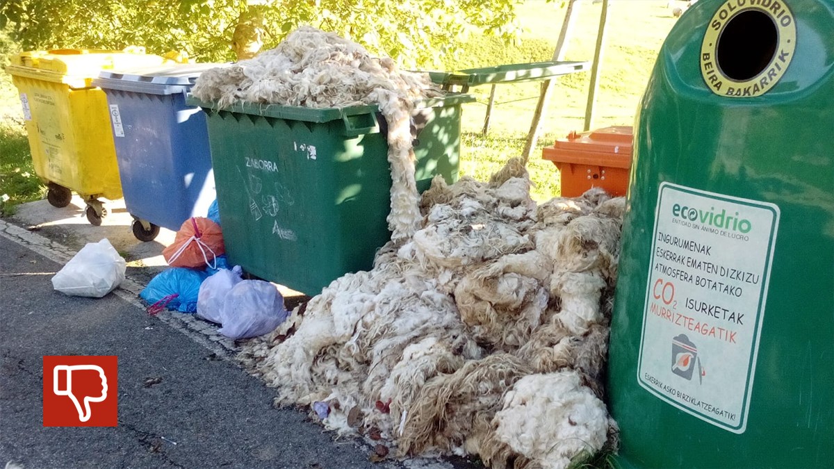 Leitzan ardien ilea behar ez den tokian utzia