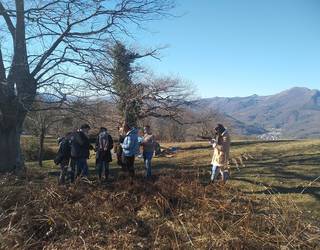 Landare zuntzekin papera egiteko lantegia izanen dute larunbatean Elgorriagan