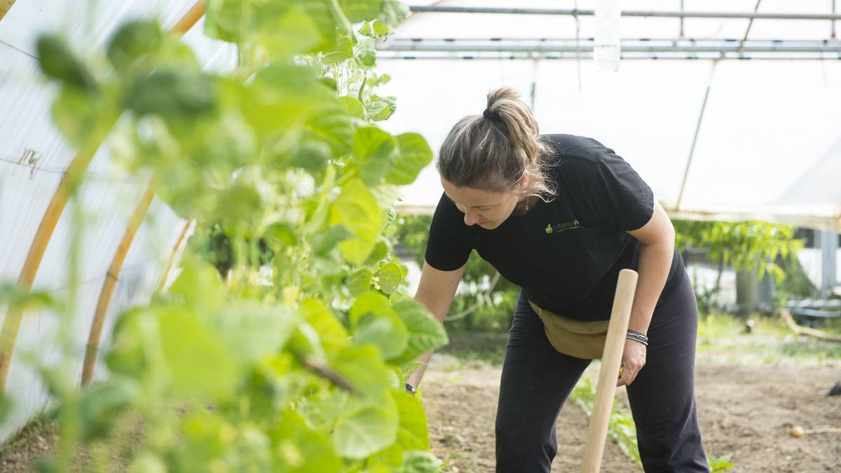 Elikagaien ekoizpenari bultzada emateko bilerak eginen dituzte Zubietan eta Lesakan aste honetan