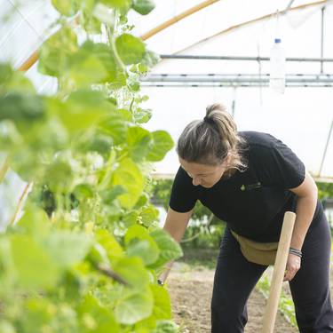 Lehen sektorean lanean aritzeko interesa dutenendako bilera  Arantzan