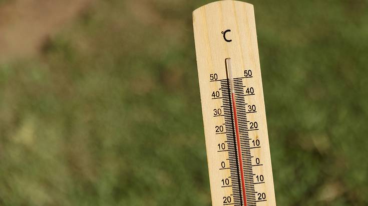 Beroa ekaineko protagonistetako bat