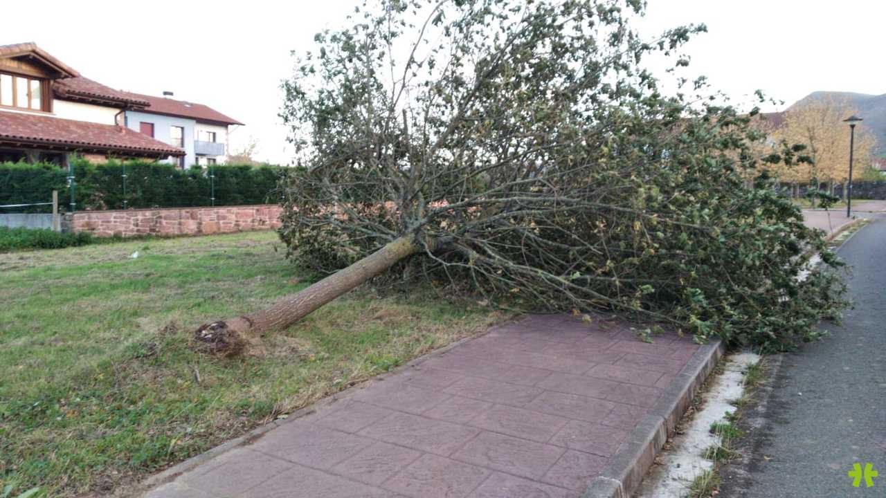 Alerta horia ezarri dute gaur haizearengatik