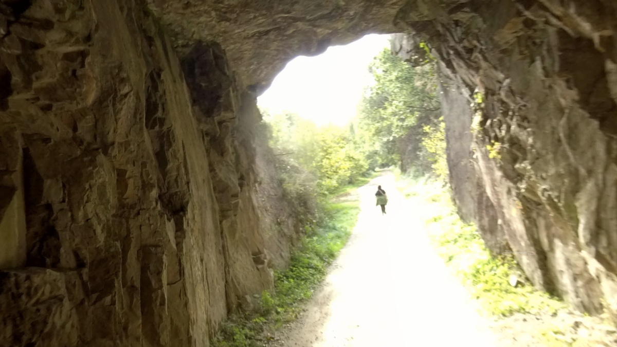 Bidasoko Bide Berdea itxita dago Endarlatsa eta Doneztebe artean lur erortzengatik